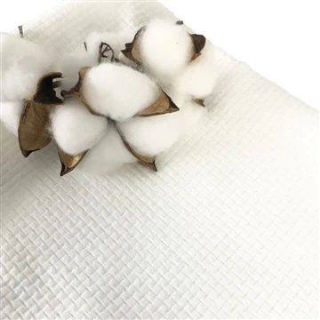 Difference between cellulose and viscose